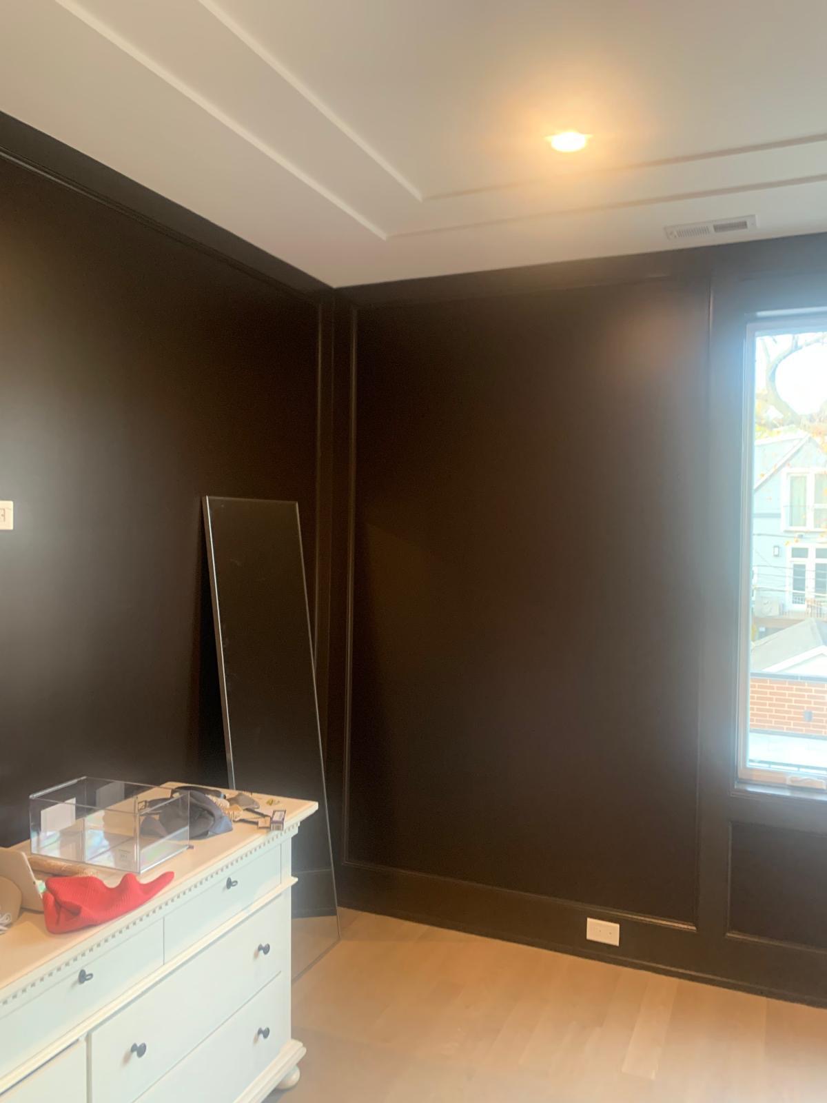 Bedroom with dark feature walls